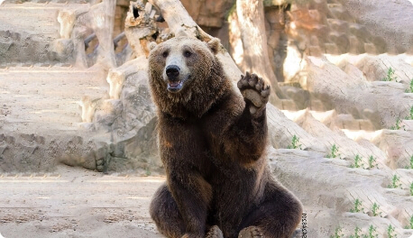 Lernen Sie unser Team kennen